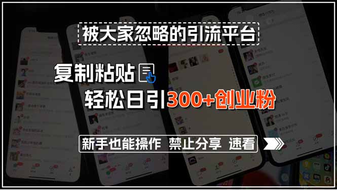 /wp-content/uploads/replace/1173fd82d2f80016726145f31625583f.jpeg 被大家忽略的引流平台,复制粘贴轻松日引300+创业粉,新手也能操作,禁…