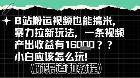 b站掘金计划？搬运视频也能挣拉新的收益，小白应该怎么玩！-佐思资源网下载-专注于互联网平台分享平台