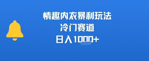 情趣内衣暴利玩法，冷门赛道，日入1k+-佐思资源网下载-专注于互联网平台分享平台