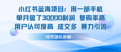 小红书蓝海项目，一部手机单月做了3W利润，小白也能月入过1W用户认可度高成交多-佐思资源网下载-专注于互联网平台分享平台