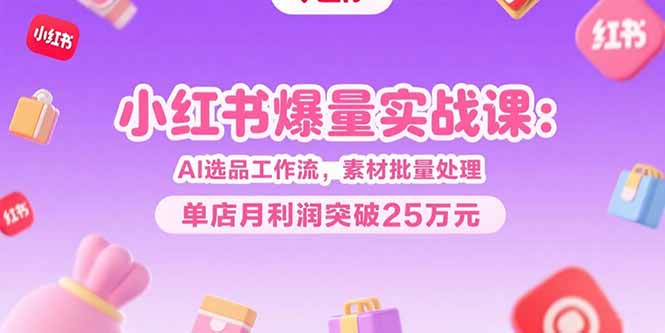 小红书爆量实战课：AI选品工作流，素材批量处理，单店月利润突破25万元-佐思资源网下载-专注于互联网平台分享平台