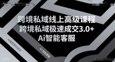 跨境私域线上高级课程，跨境私域极速成交3.0+Ai智能客服-佐思资源网下载-专注于互联网平台分享平台