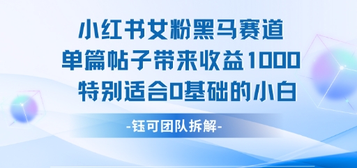 小红书女粉黑马赛道单篇帖子带来收益1k+，特别适合0基础的小白-佐思资源网下载-专注于互联网平台分享平台