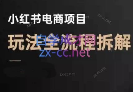 菲菲老师·小红书电商玩法(更新7月)-佐思资源网下载-专注于互联网平台分享平台