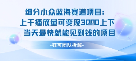 小众蓝海赛道项目：当天变现1k+适合新手操作 +适合长期玩-佐思资源网下载-专注于互联网平台分享平台