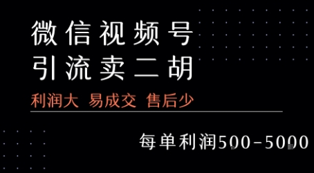 视频号卖二胡教程，利润大 易成交 售后少，一单利润5张+-佐思资源网下载-专注于互联网平台分享平台