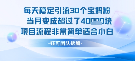 每天稳定引流30个人 当月变成超过了4个W项目流程非常简单适合小白-佐思资源网下载-专注于互联网平台分享平台